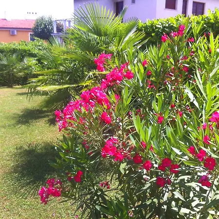 Apartment Petrovic Opatija